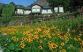 Hotel Shervani Hilltop Nainital
